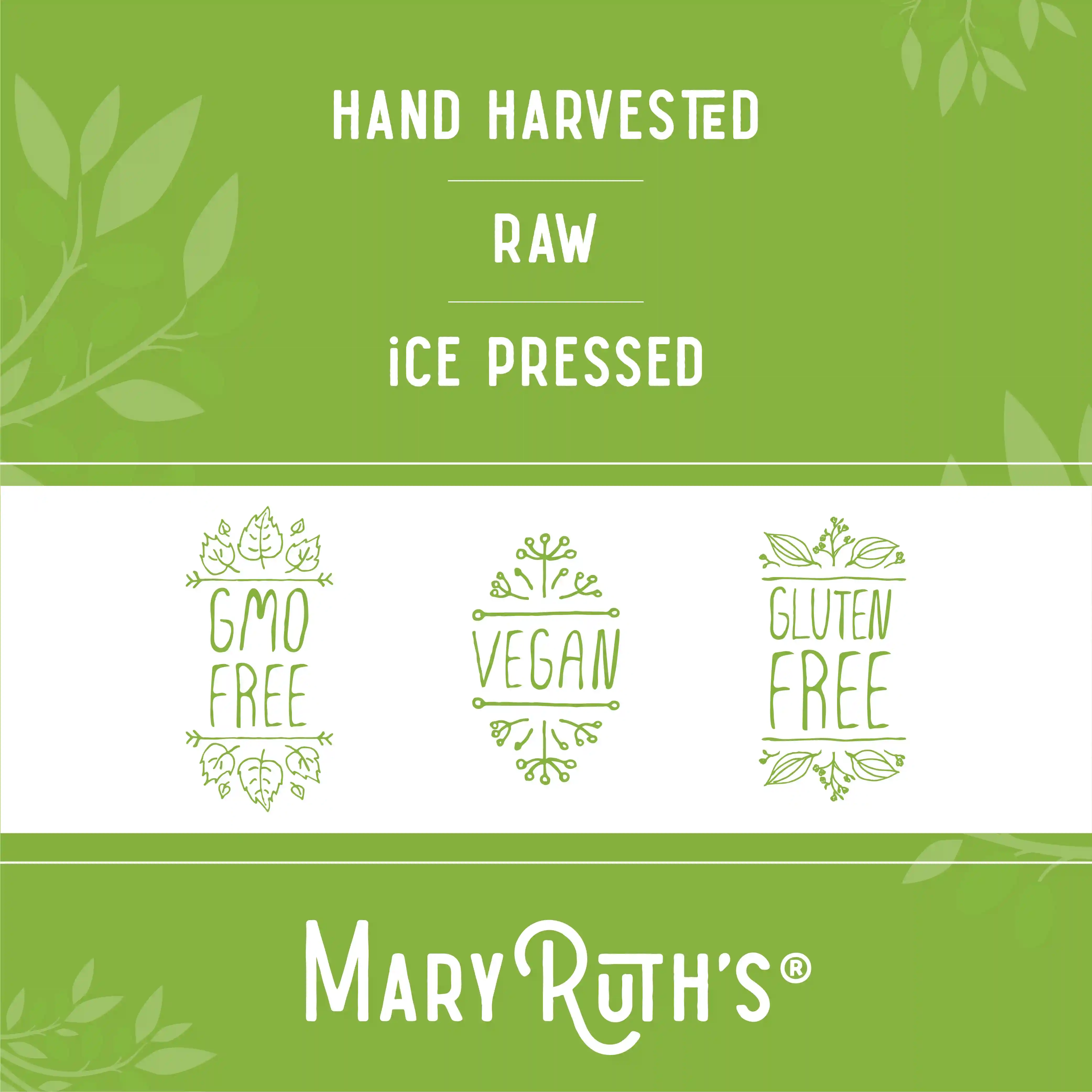 Ice Pressed® Extra Virgin Olive Oil - Image 4