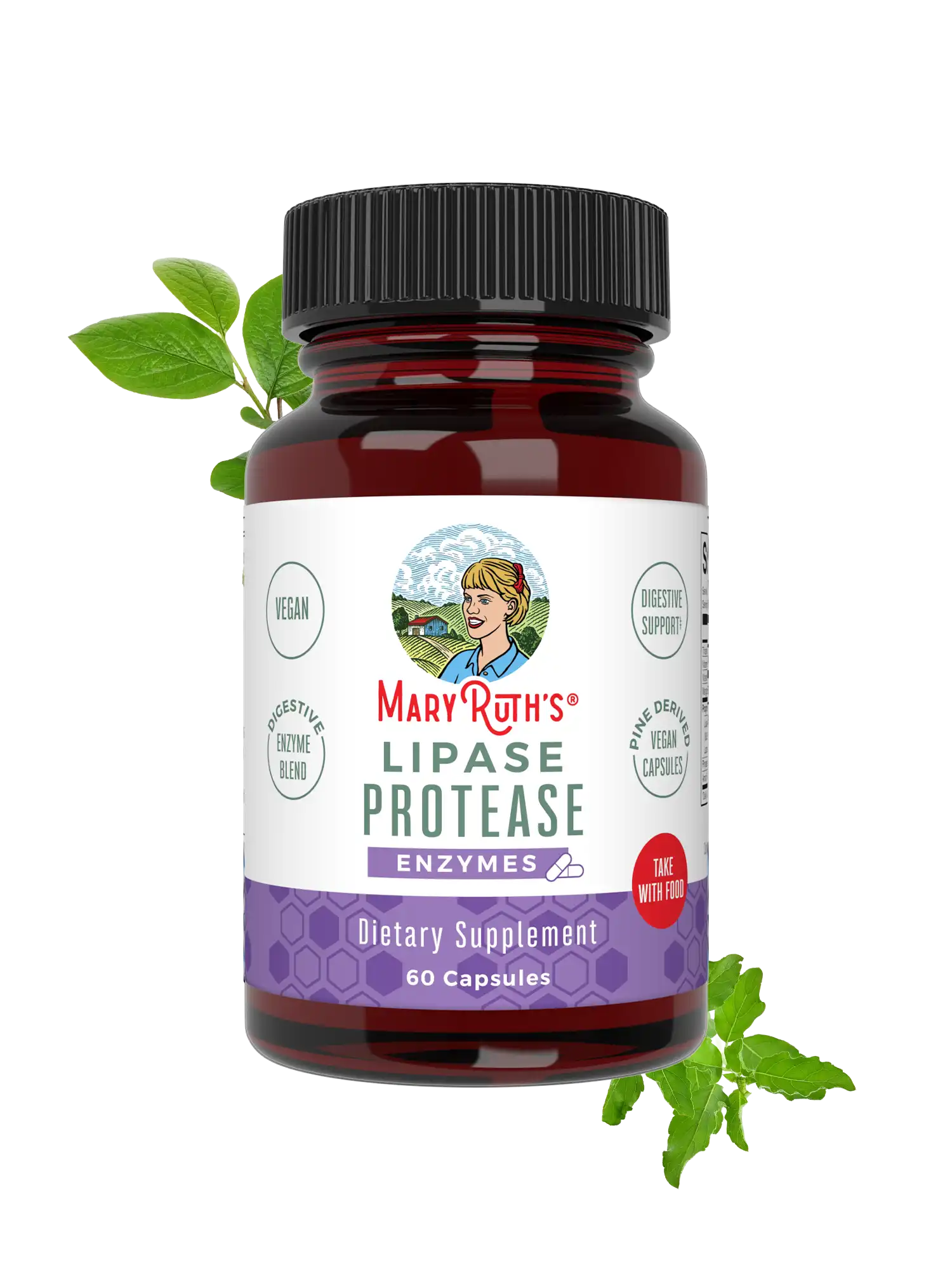 Lipase Protease Enzymes